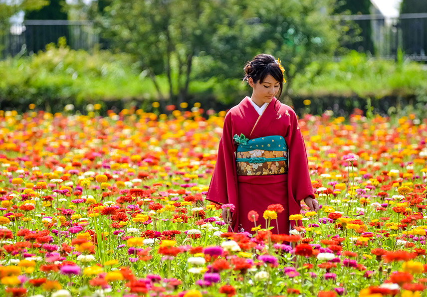 写真