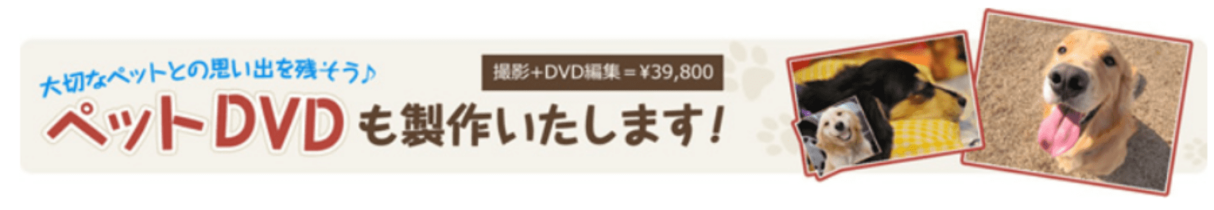 バナー